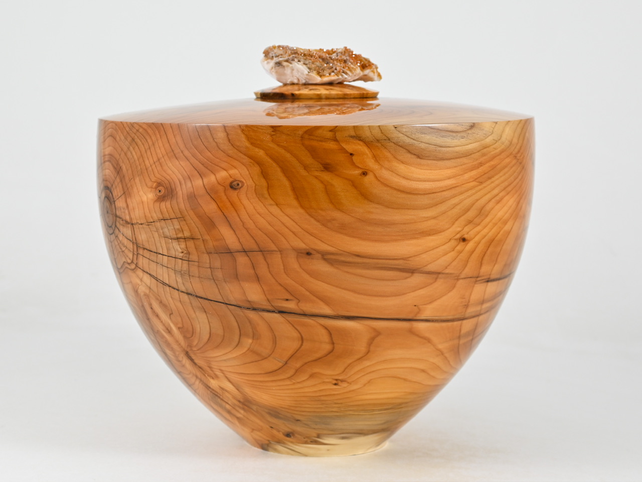 844 taxus - 3,8 liter