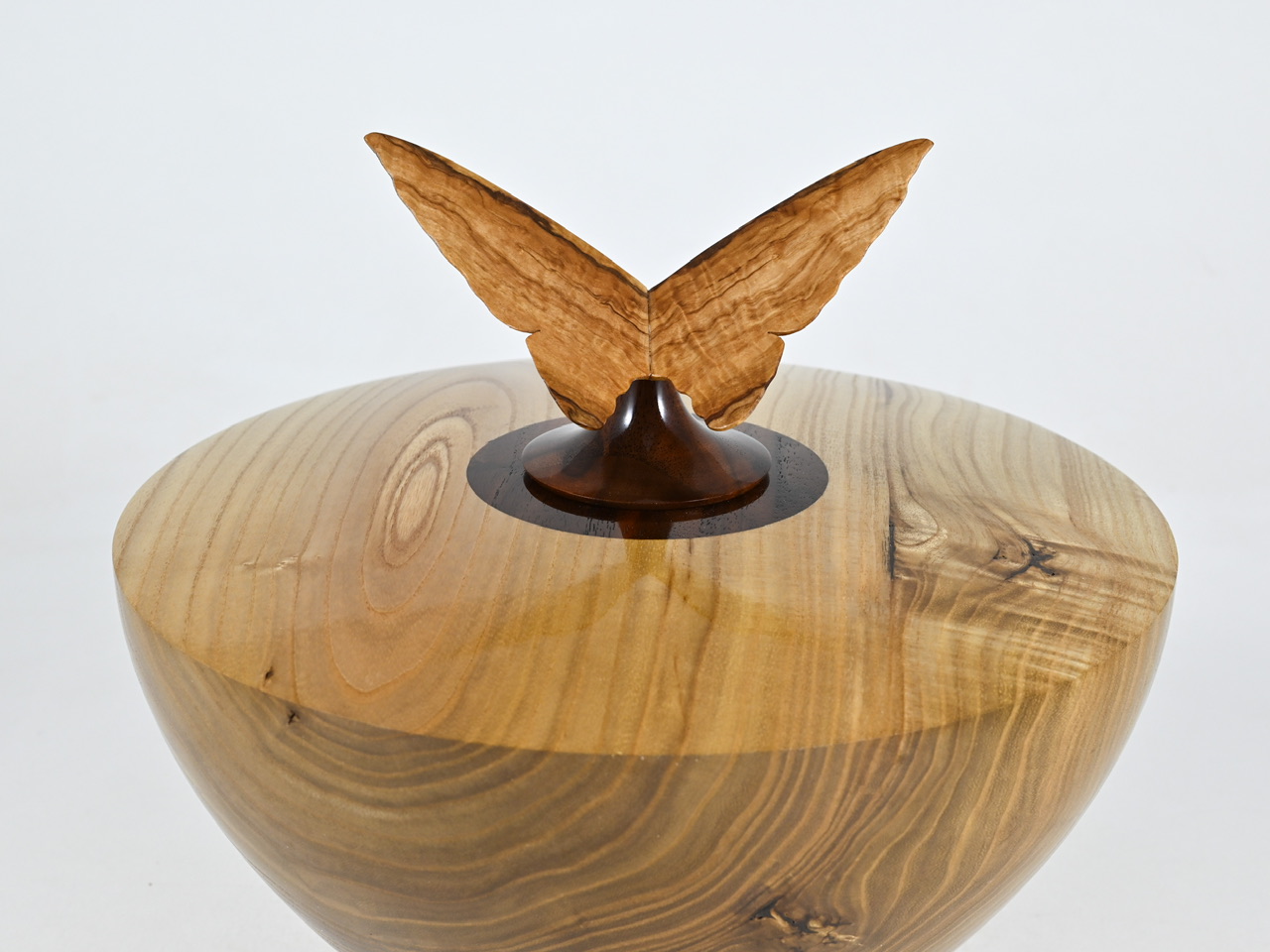 850 catalpa - 2,7 liter