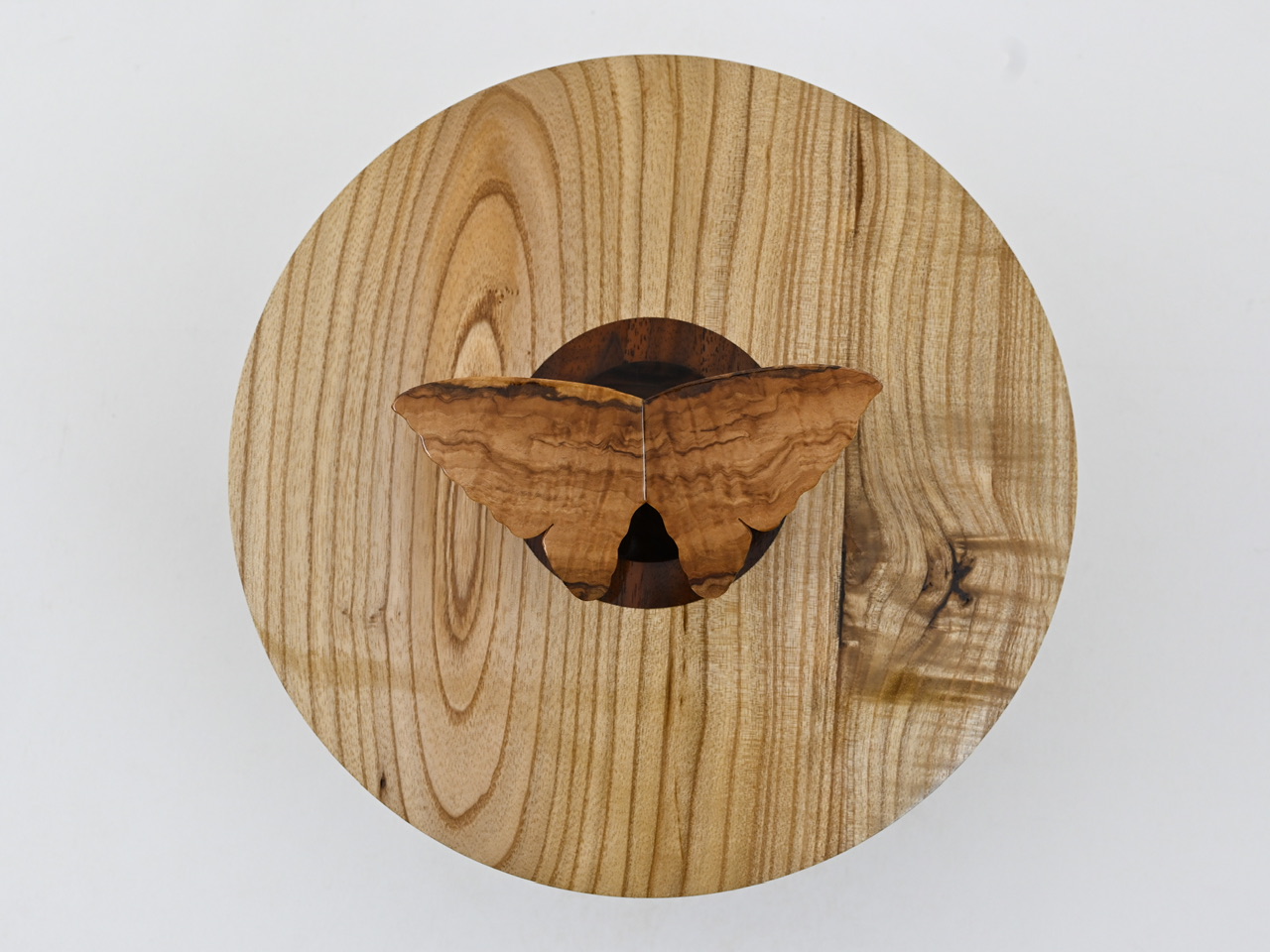 850 catalpa - 2,7 liter