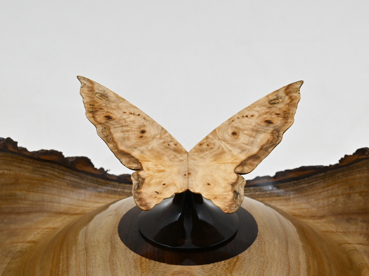 852 catalpa - 1,9 liter