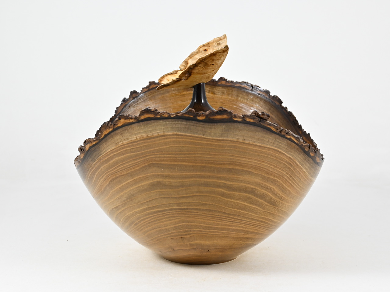 852 catalpa - 1,9 liter