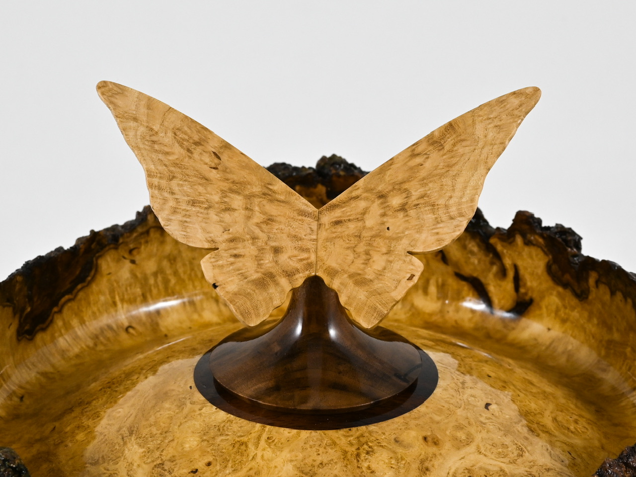 853 robinia - 3,4 liter