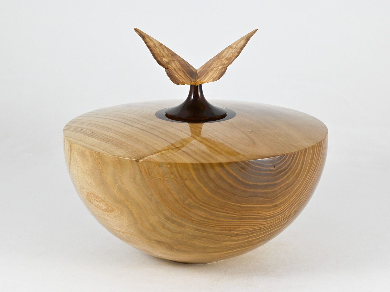 865 catalpa - 3,1 liter