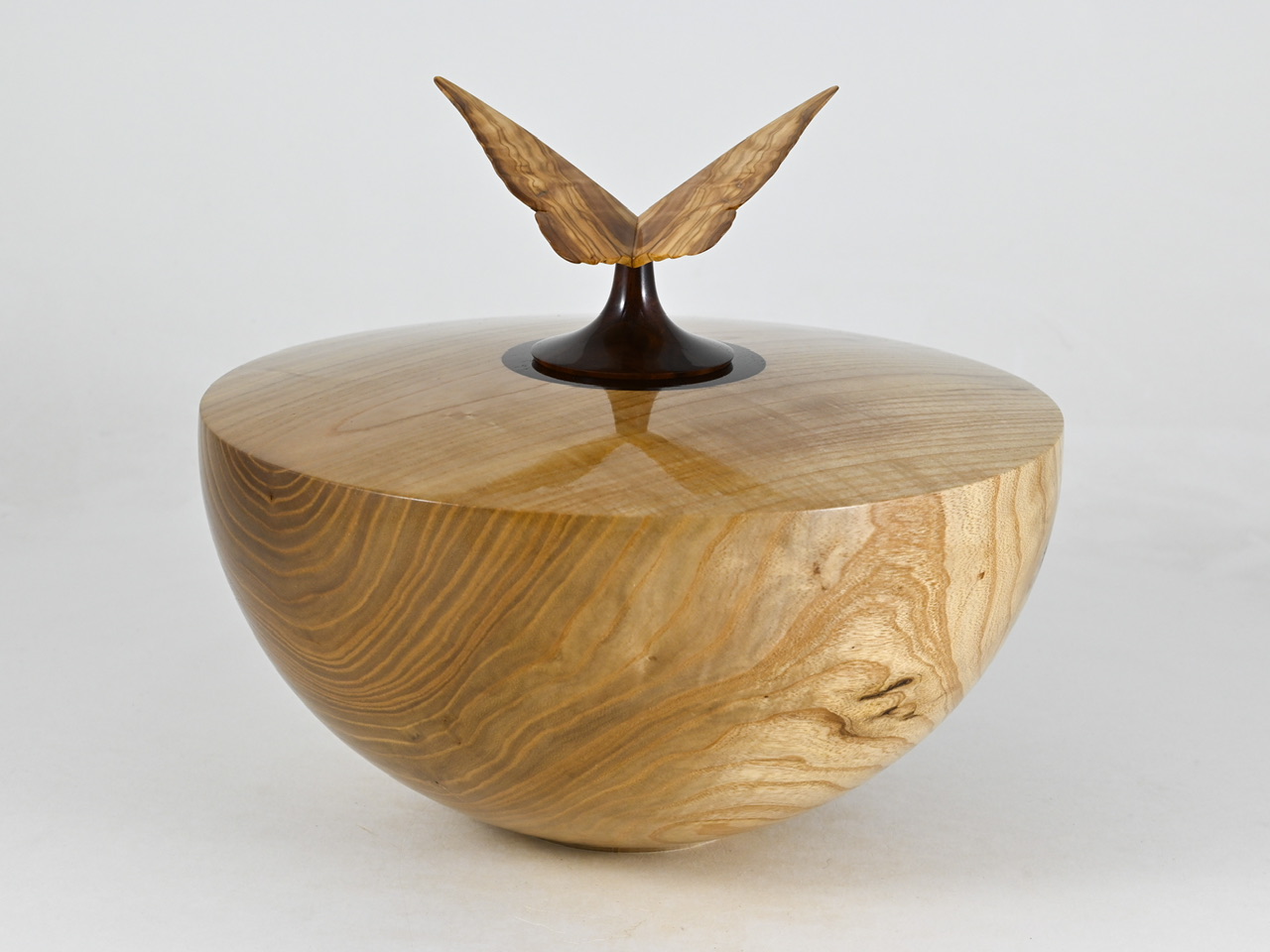 865 catalpa - 3,1 liter