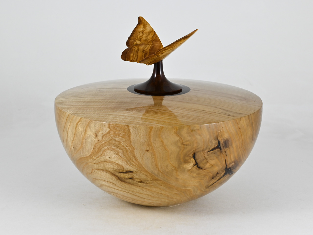 865 catalpa - 3,1 liter