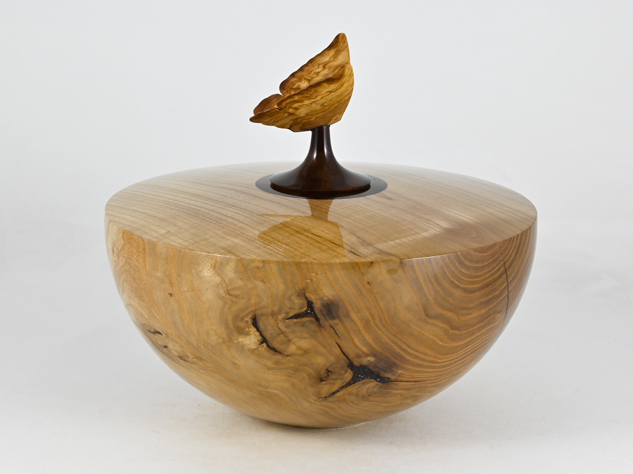 865 catalpa - 3,1 liter