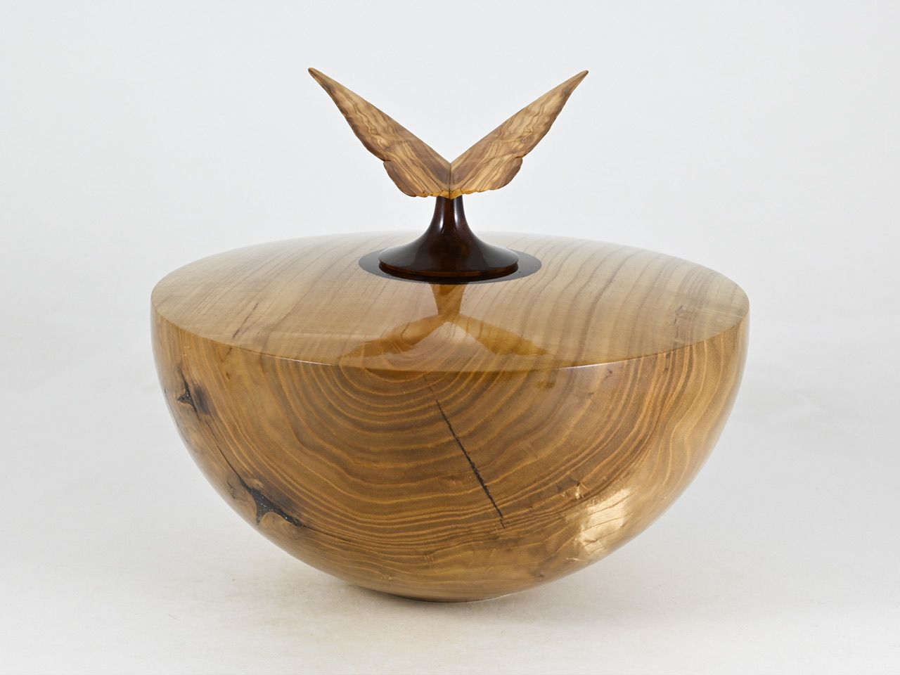 865 catalpa - 3,1 liter