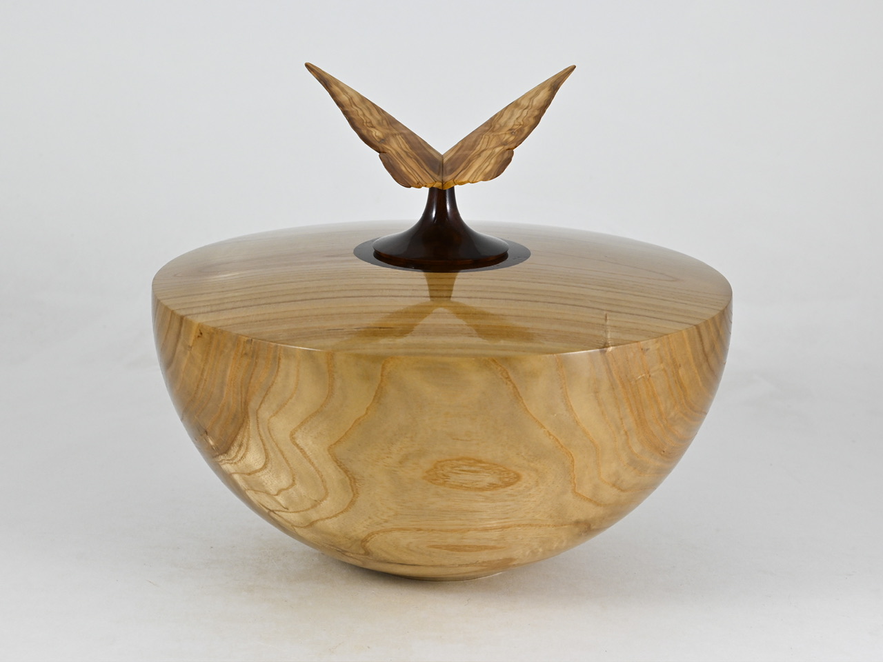 865 catalpa - 3,1 liter