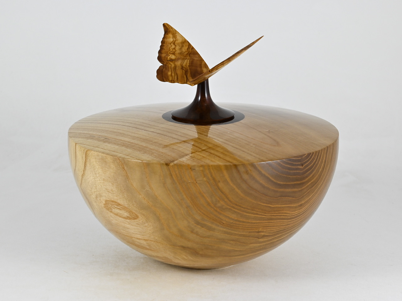 865 catalpa - 3,1 liter