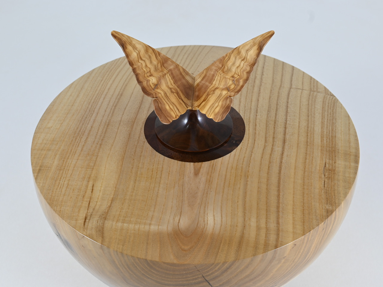 865 catalpa - 3,1 liter