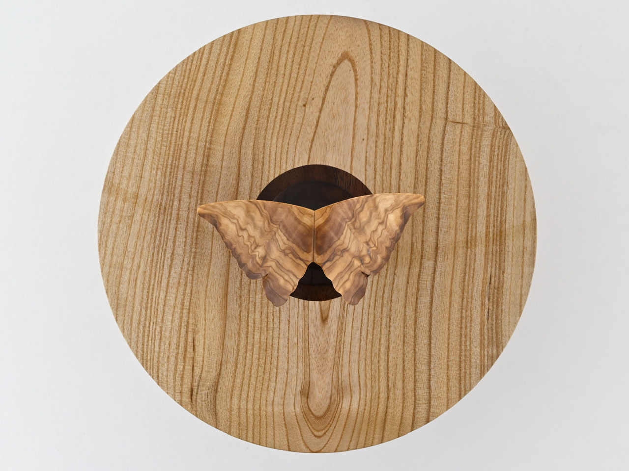 865 catalpa - 3,1 liter