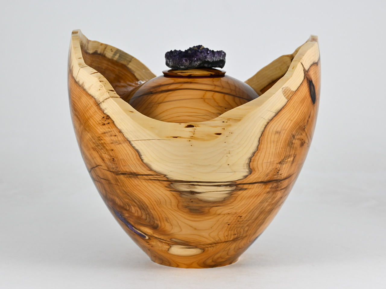 870 taxus - 3,8 liter