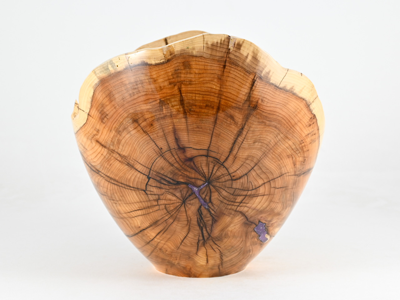 870 taxus - 3,8 liter