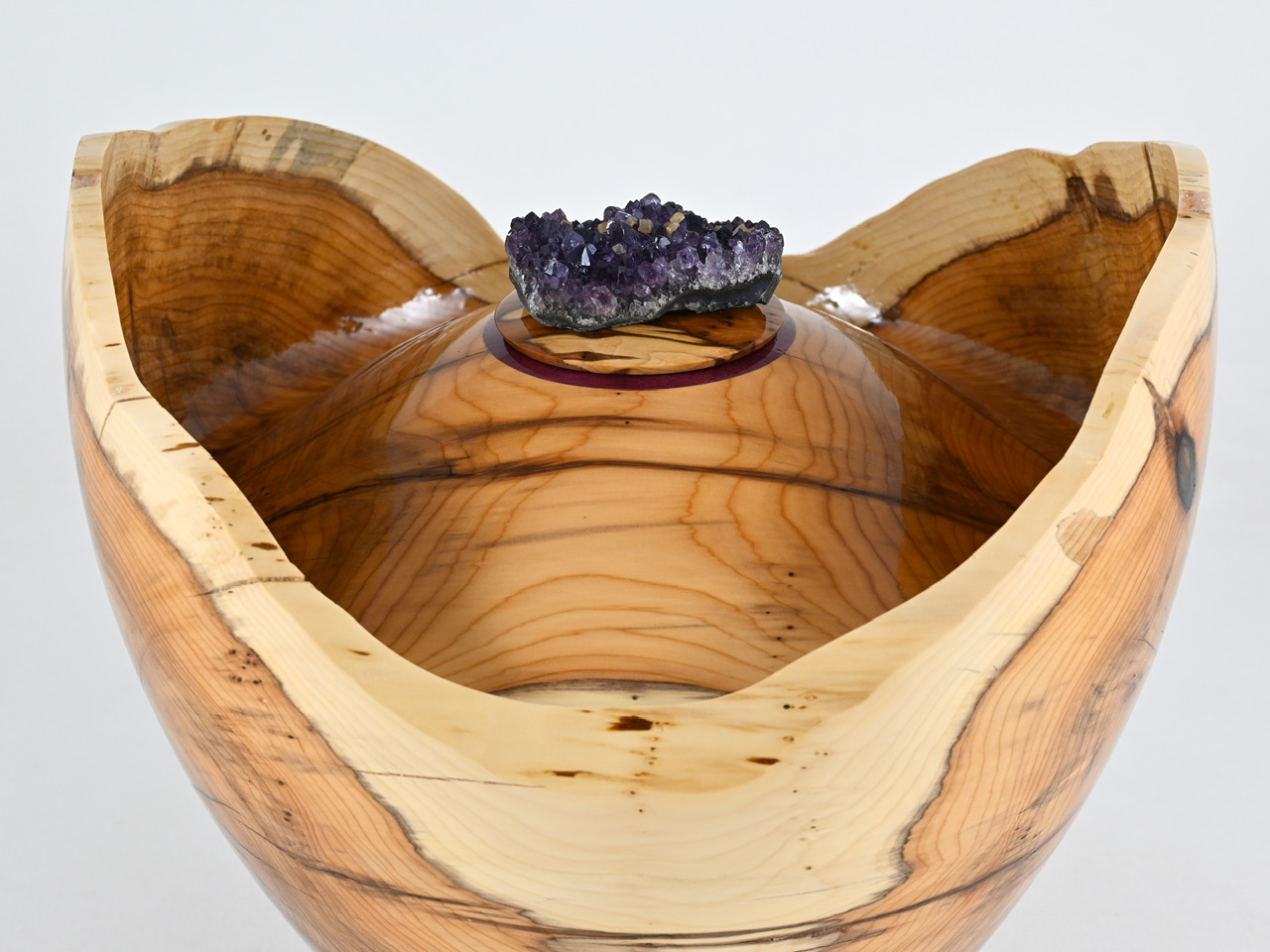 870 taxus - 3,8 liter