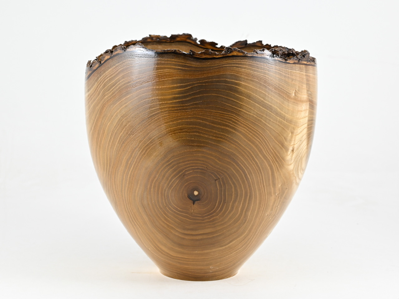 881 catalpa - 5,5 liter