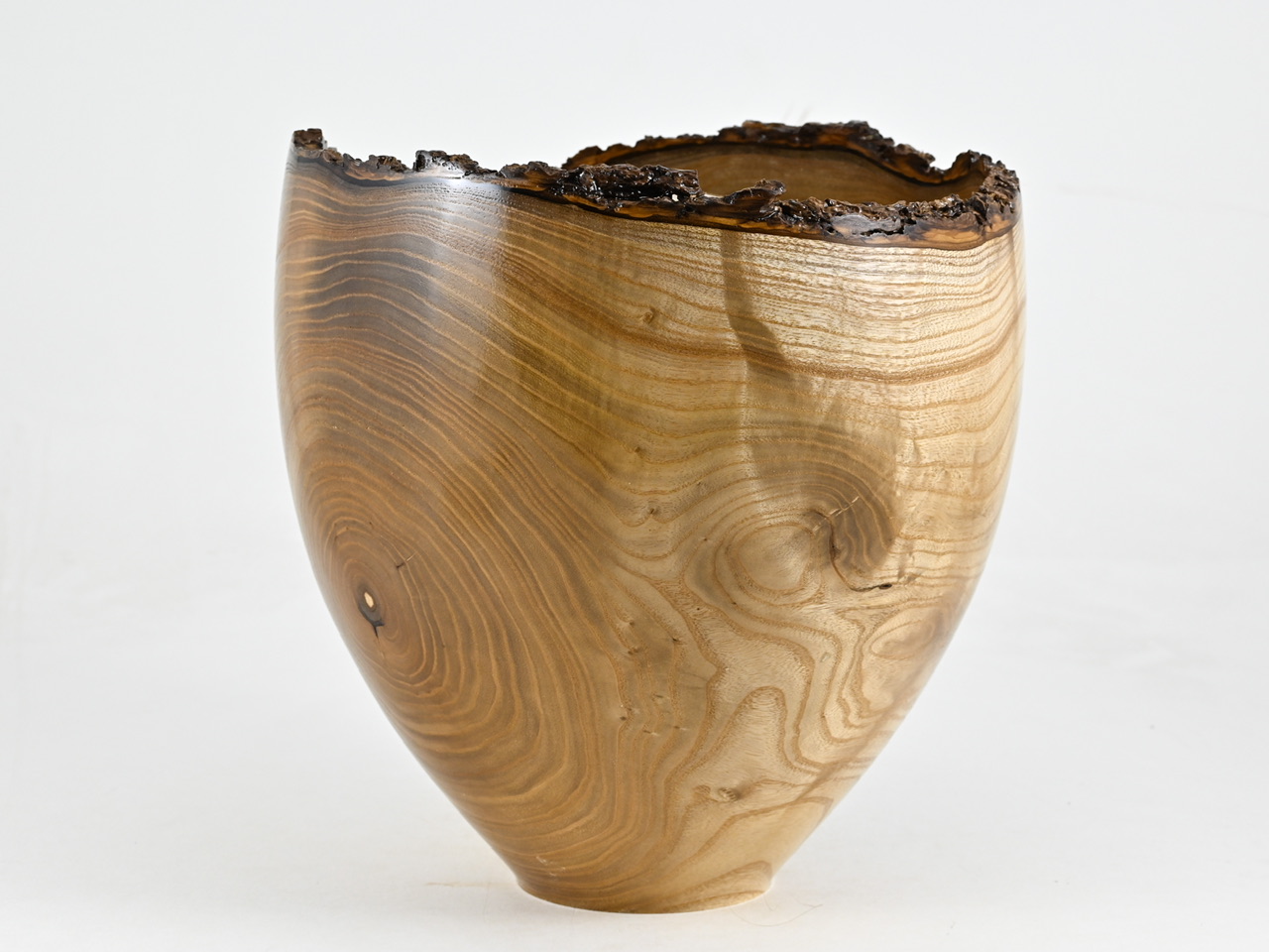 881 catalpa - 5,5 liter