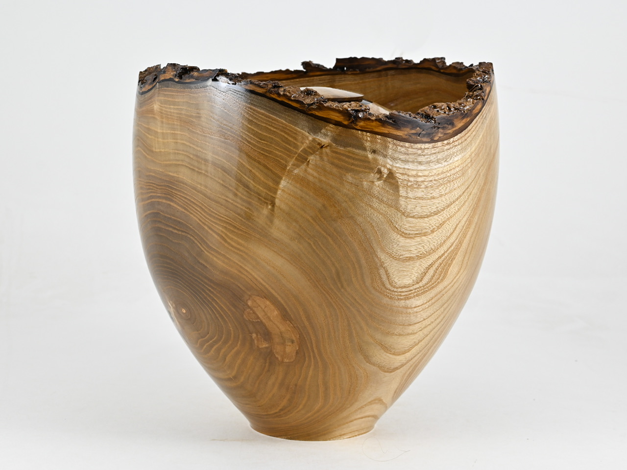 881 catalpa - 5,5 liter