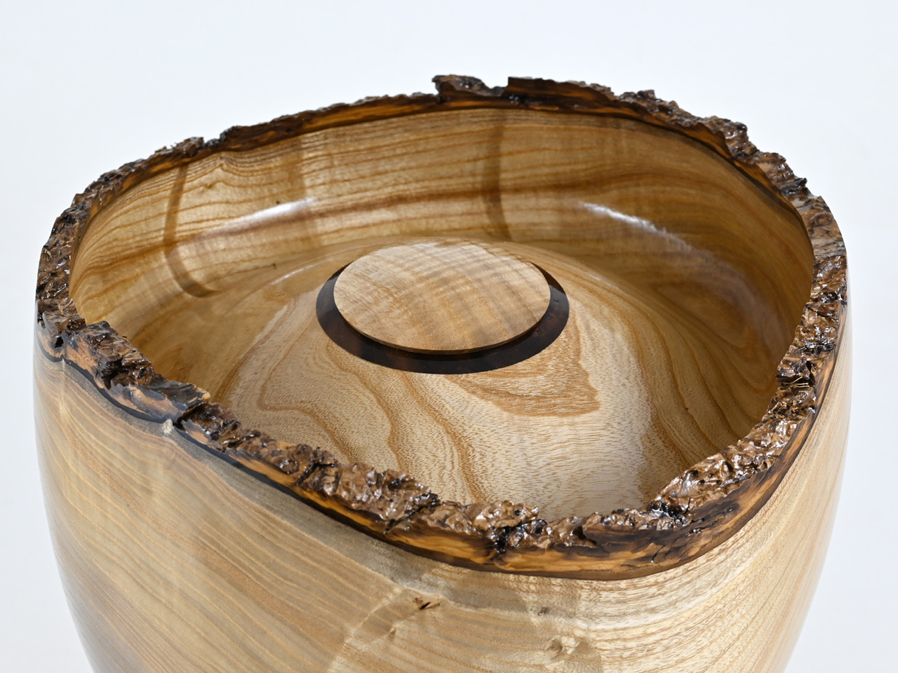 881 catalpa - 5,5 liter