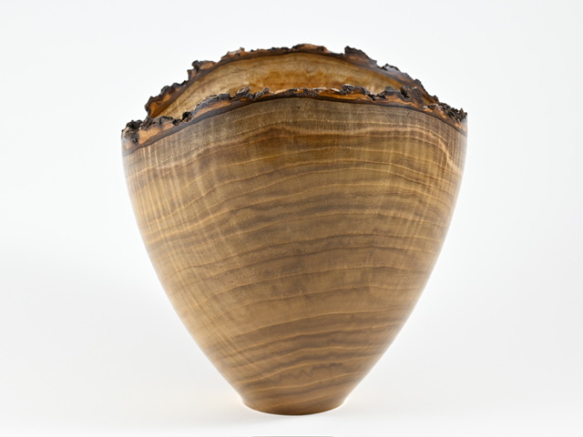 893 catalpa - 2,3 liter