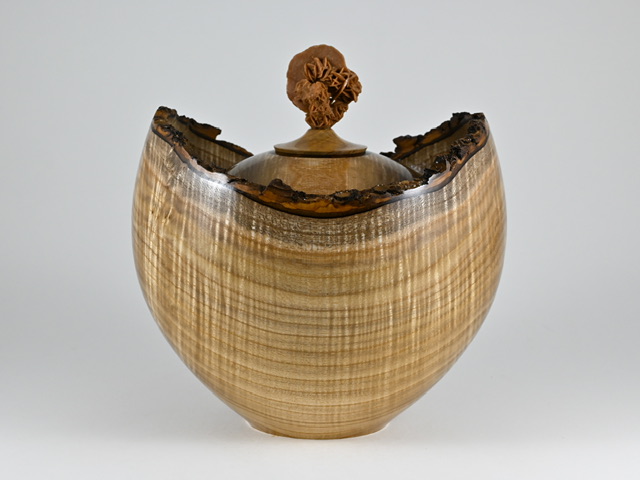 899 catalpa - 5 liter