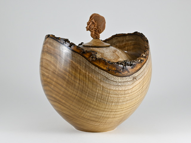 899 catalpa - 5 liter