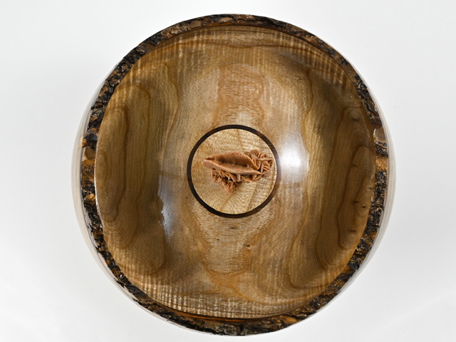 899 catalpa - 5 liter