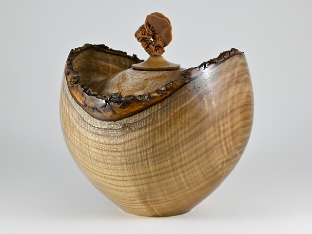 899 catalpa - 5 liter