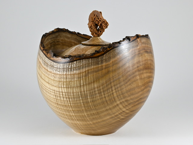 899 catalpa - 5 liter