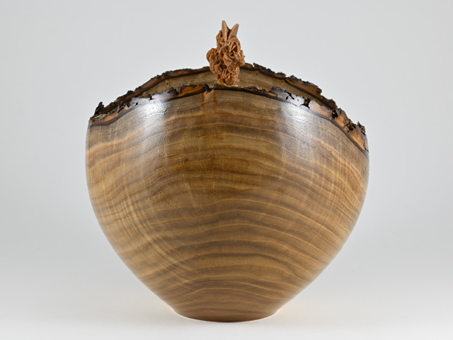 899 catalpa - 5 liter