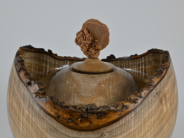 899 catalpa - 5 liter