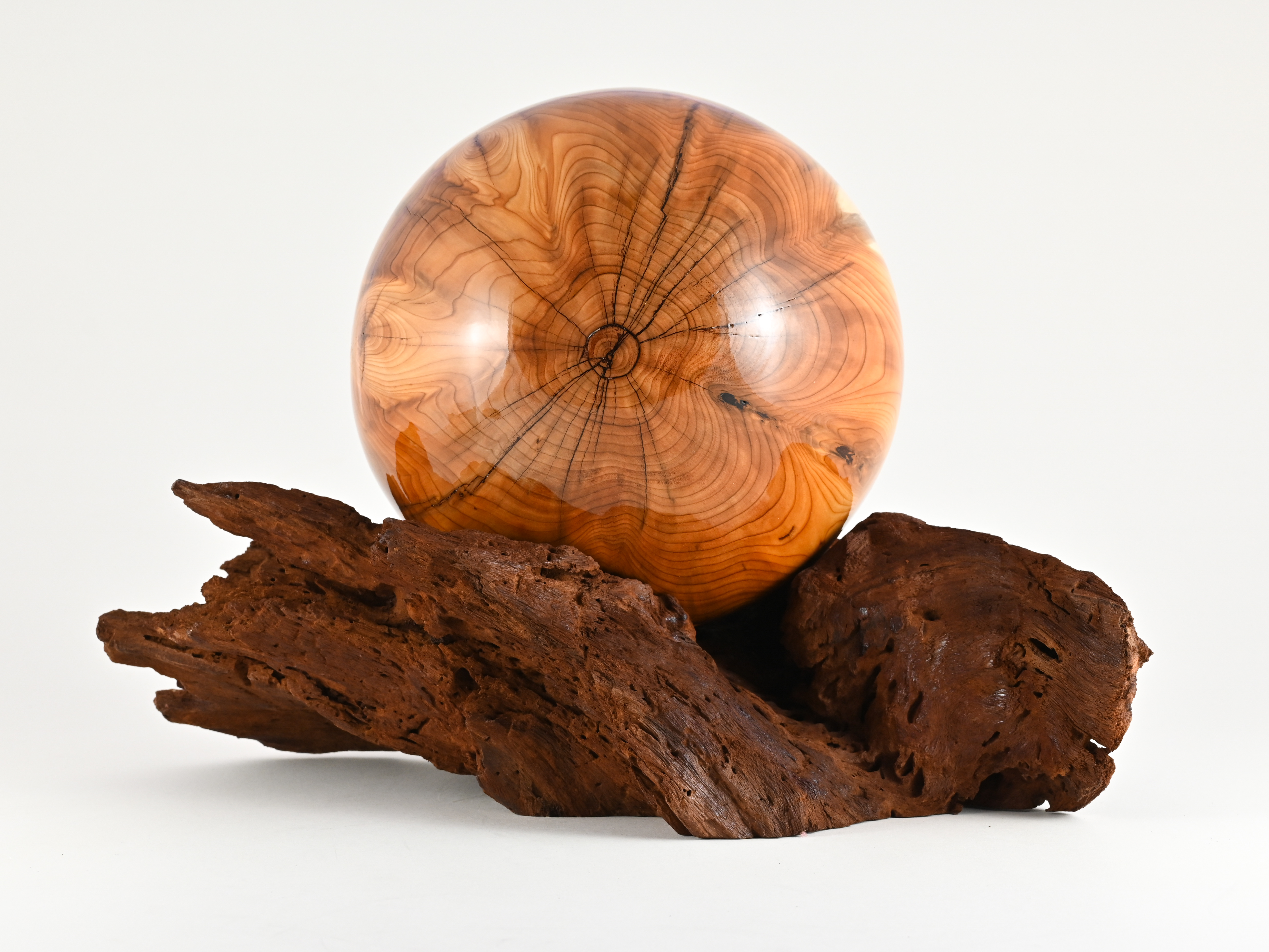 908 taxus - 3,9 liter