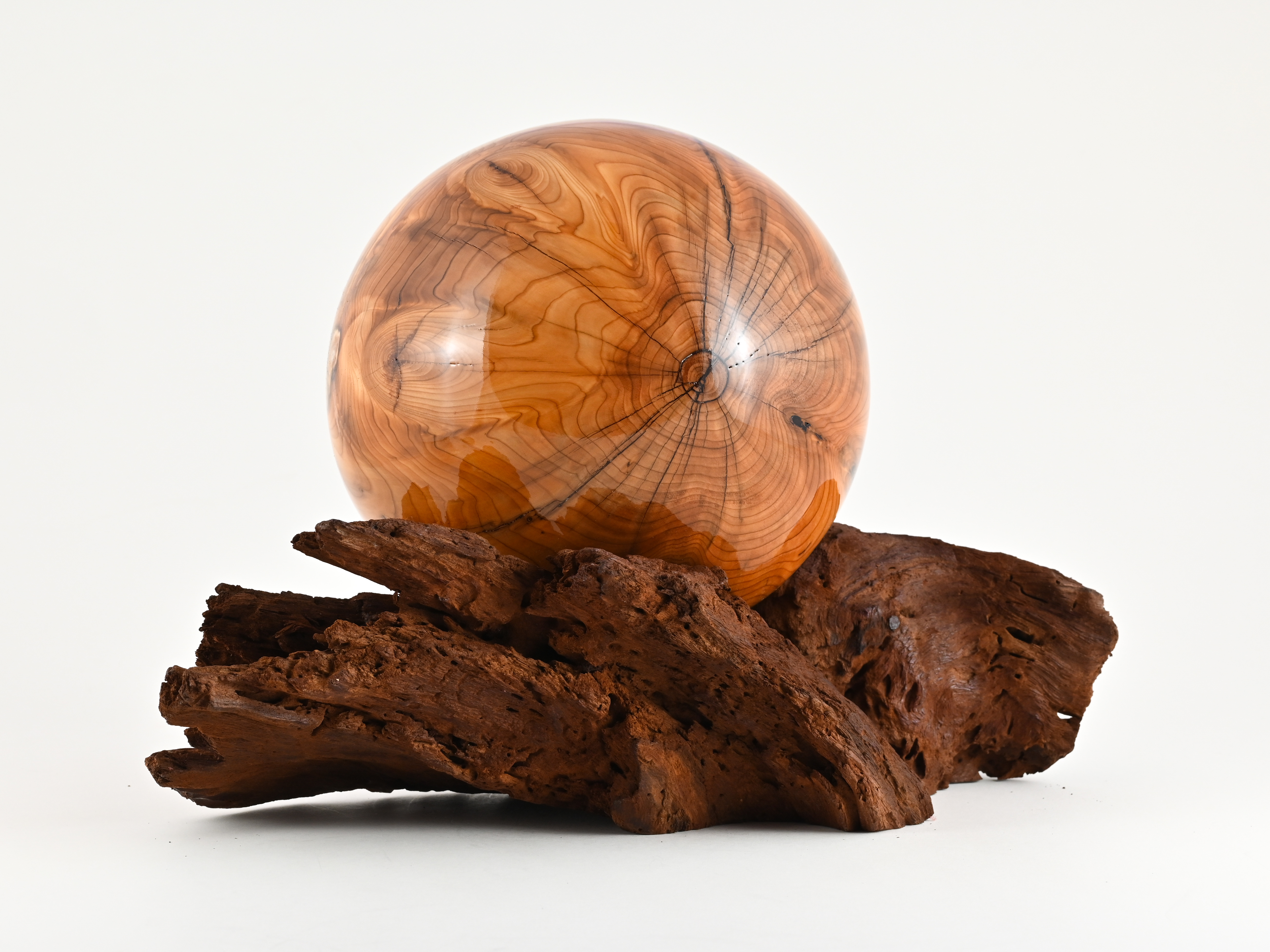 908 taxus - 3,9 liter